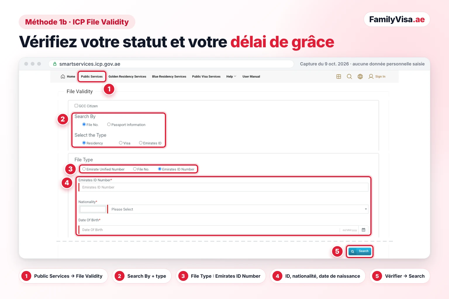 Capture d'écran du formulaire File Validity d'ICP Smart Services : type Residency, Visa ou Emirates ID, File Type réglé sur Emirates ID Number et champs de nationalité et de date de naissance, pour vérifier la validité du dossier et le délai de grâce